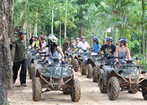 ATV Phuket : Rubber Plantations